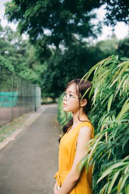 震惊！美丽的小蜜蜂2中妈妈究竟是好人吗？数字解密背后真相！